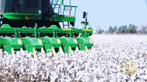 hm被抵制原因对阿迪耐克有影响吗,hm阿迪耐克现状