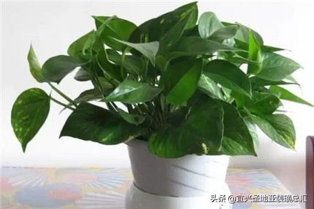 装修有甲醛的危害有哪些,装修有甲醛会影响入职吗