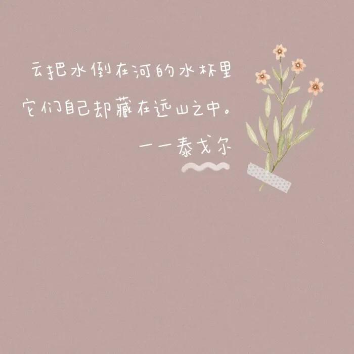 文字控背景图追星,文字控背景图博主推荐