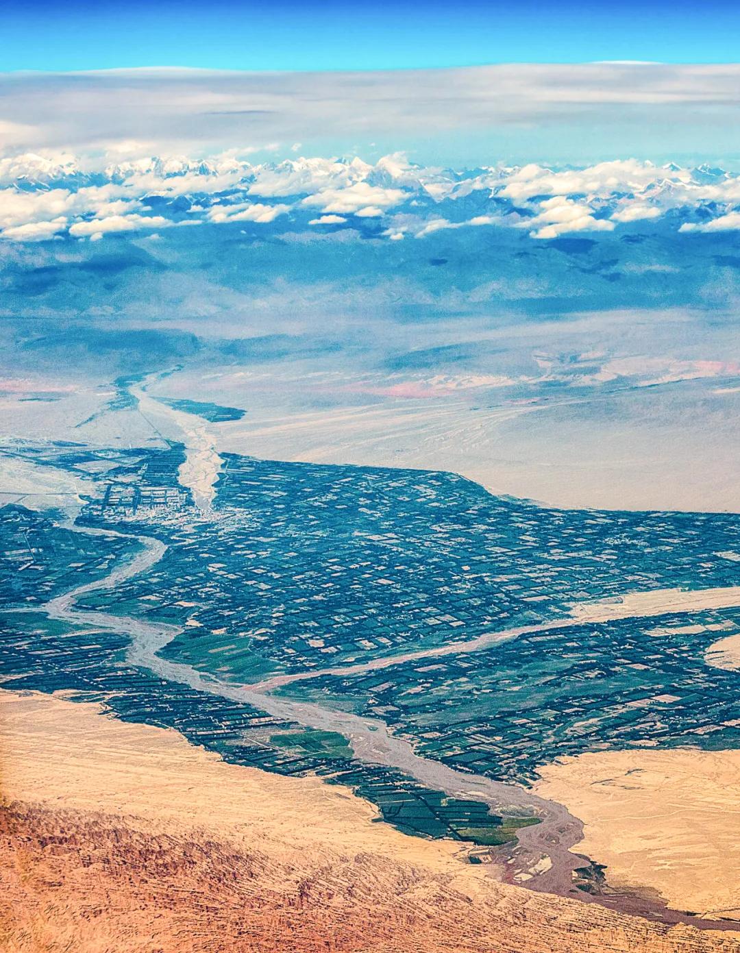新疆塔里木大沙漠风景,除了沙漠树森林树还有什么