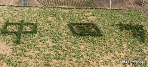 3月5日每天3分钟尽览天下事（习*平近**给文艺界、社科界的七句箴言）