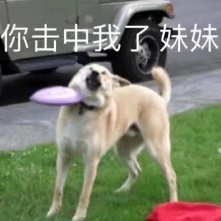 以前我没得选只想做个好人表情包,以前我没得选现在只想做一个好人