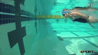 自由泳滚翻转身蹬壁,前滚翻动作练习方法步骤