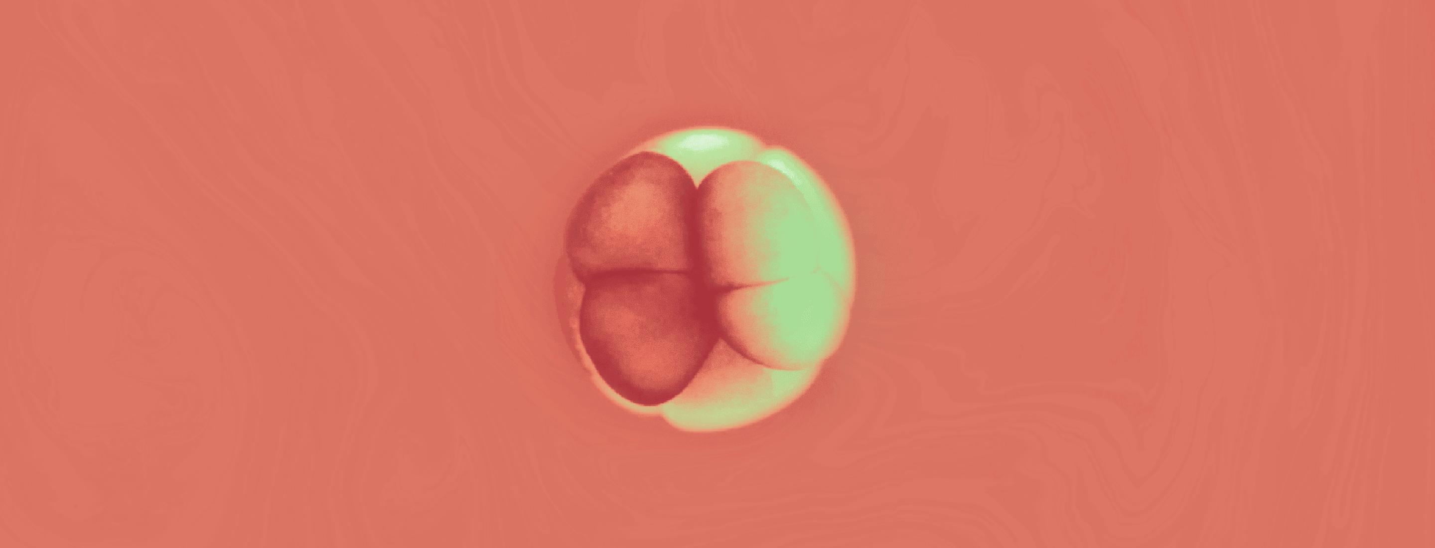 揭秘伤口如何愈合的,伤口是如何愈合的告诉小朋友