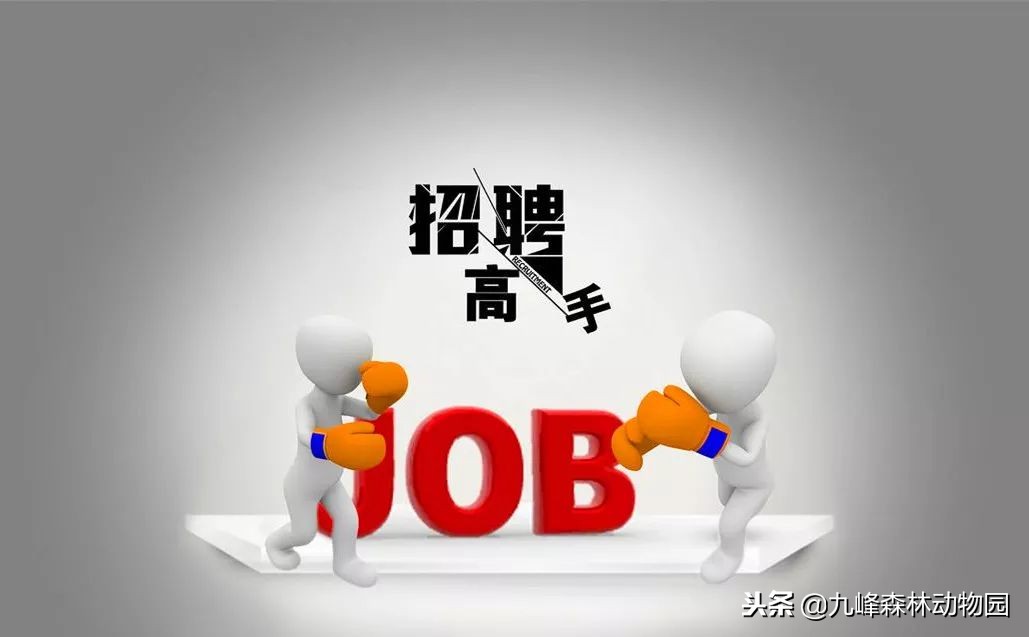 动物园动物饲养岗位招聘,杨家坪动物园招聘饲养员信息