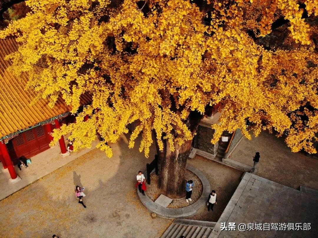 济南的自然风景推荐,济南自然风景好的地方