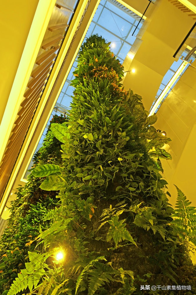 美丽的景观商店效果图,大型仿真植物商业街景观造景装饰