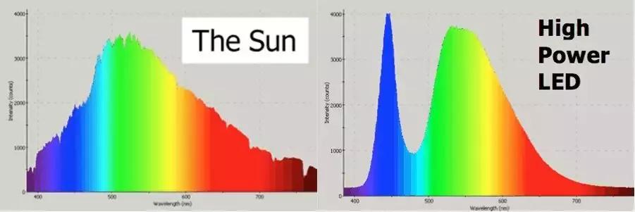 当医生问病人怎么打算时该怎么回,疮疡病病人的症状
