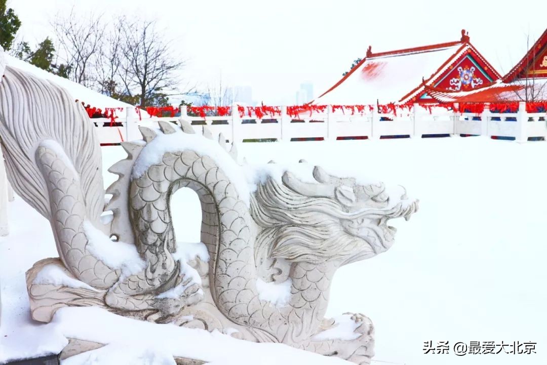 北京到哈尔滨特价机票,北京出发最便宜的国际机票