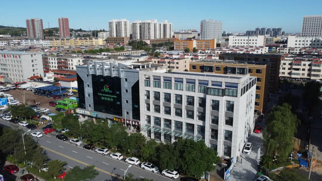 「科主任风采」尚正兰：群众心中的“榆林第一针”