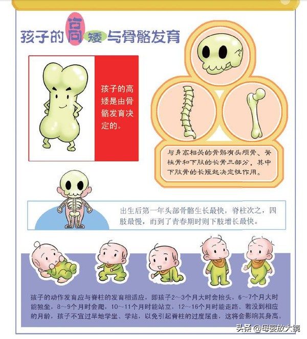 宝宝身高发育迟缓怎么解决,宝宝矮小是不是聪明