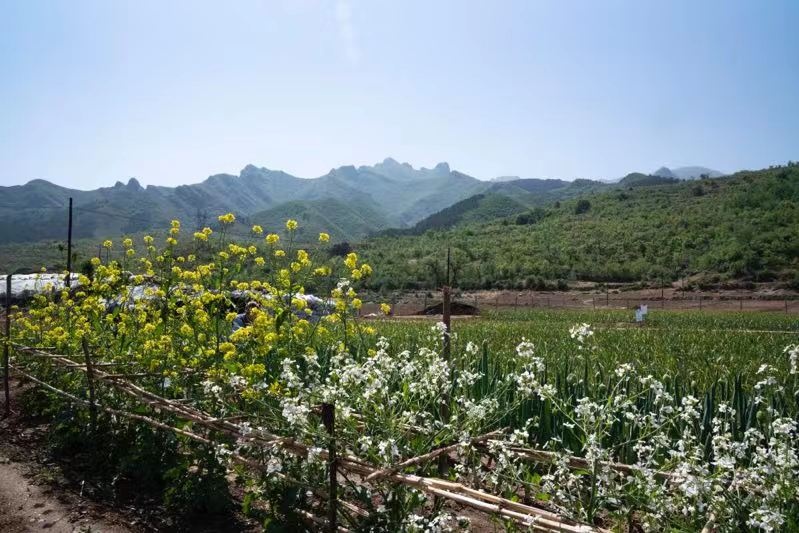 娃友们的福音:泡泡玛特入驻哈噜玛特啦