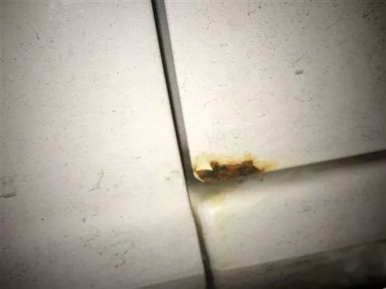 怎么判断车是否伤到底漆,汽车被划怎么补救