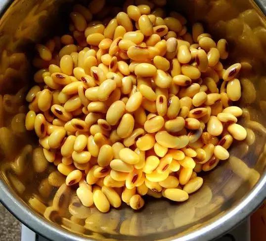 养花的盆要不要戳些洞,养花小知识小技巧大全图解