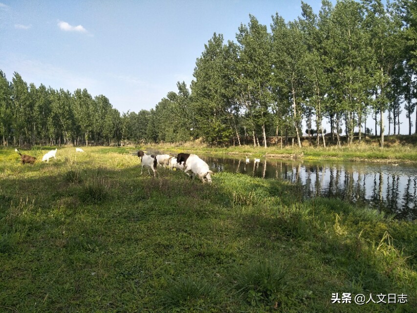 故乡的河坝,故乡的河女声版