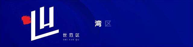 四十不惑之惑的意思,深圳四十年发展史