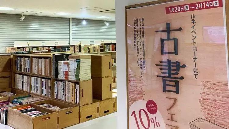 看樱花吃什么好,看樱花感悟