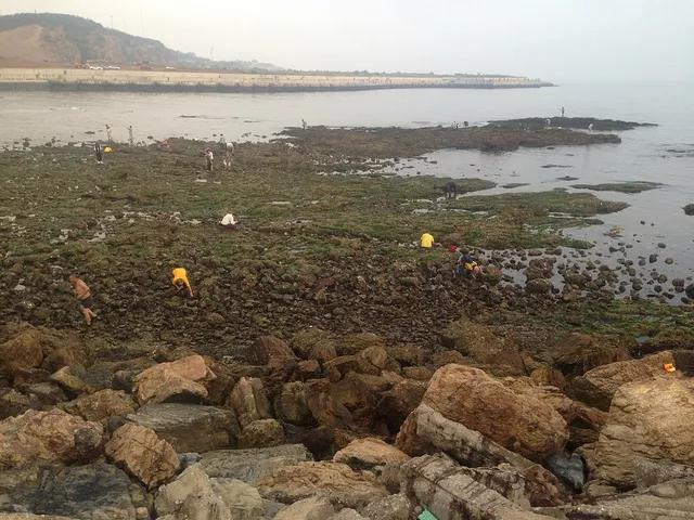 大连旅游攻略精致景点推荐,大连必去的打卡景点