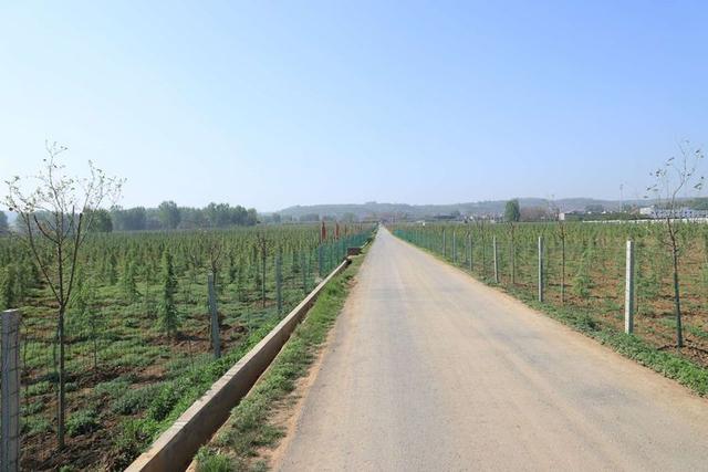 浠ユ按娑﹀煄,娑﹀煄娌抽亾娌荤悊宸ョ▼