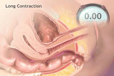 哈尔滨产后修复中心,带大家认识一下您身体的“三大管家”