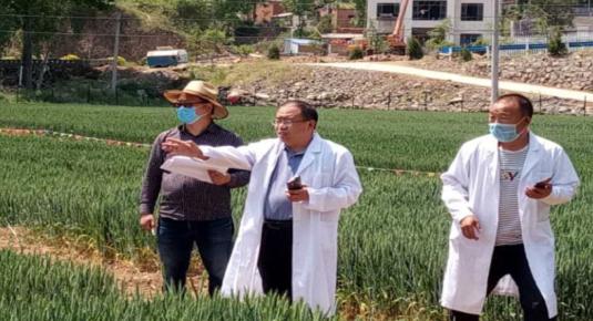 娌冲崡澶╂槑鐜繚绉戞妧鏈夐檺鍏徃鎬庢牱,澶╂槑鐜繚绉戞妧鏈夐檺鍏徃