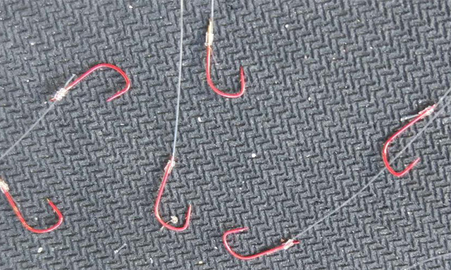 新手钓鱼有福利吗,新手钓鱼福利