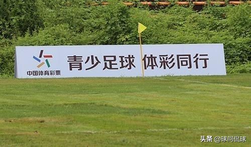 老彩民经验视频,十年足彩经验与你分享