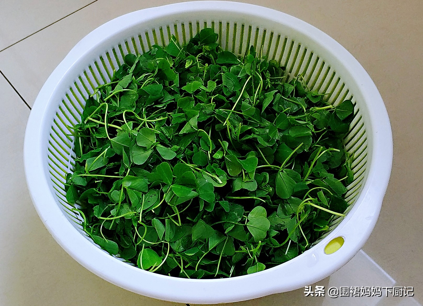 这种饼外面1个8元教你在家做,5元一张绸缎饼教你在家做