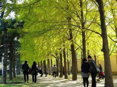 中药汤药治疗银屑病牛皮癣,牛皮癣银屑病什么西药最好
