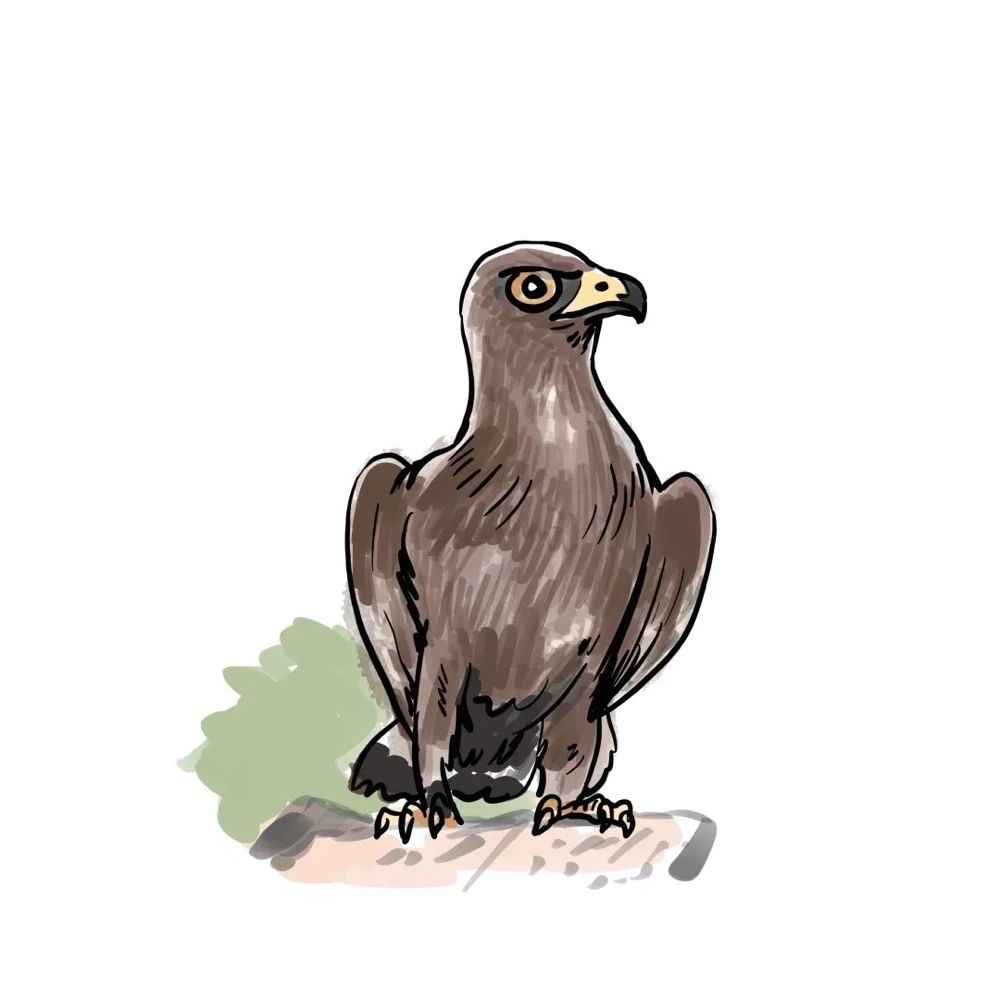 嘉年华快报：杭城万名神兽出动，破解七大自然悬案