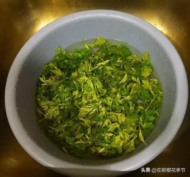 艾草防风紫苏煮水给婴儿洗澡,艾草生姜煮水给宝宝洗澡的好处