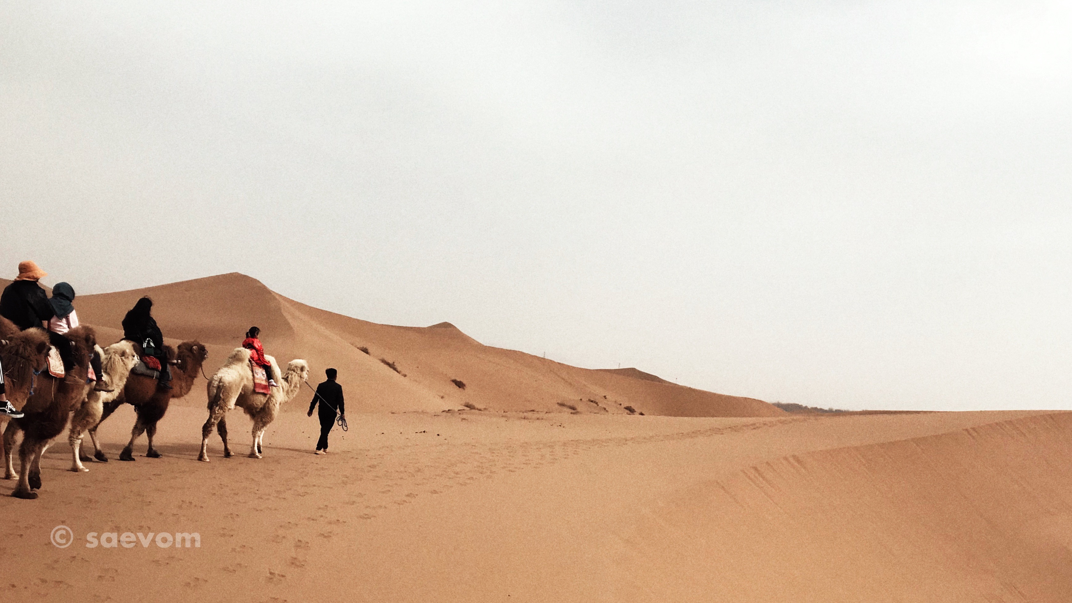 宁夏腾格里沙漠游玩攻略,宁夏沙漠旅行攻略