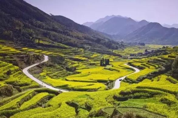 春暖花开的季节我和你如期相约,醉美开化油菜花