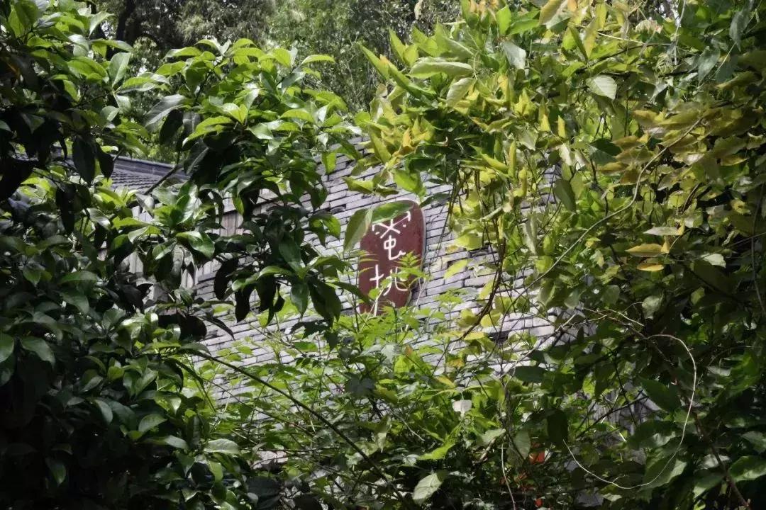 南京最好的山庄排名,南京最美的6个地方你都去过了吗