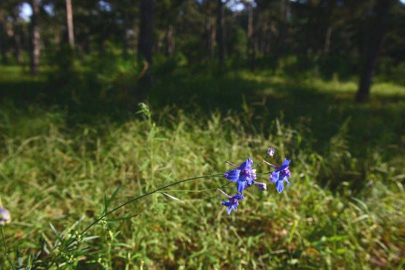 康平周边五一自驾游免费景点攻略,康平县夏季旅游