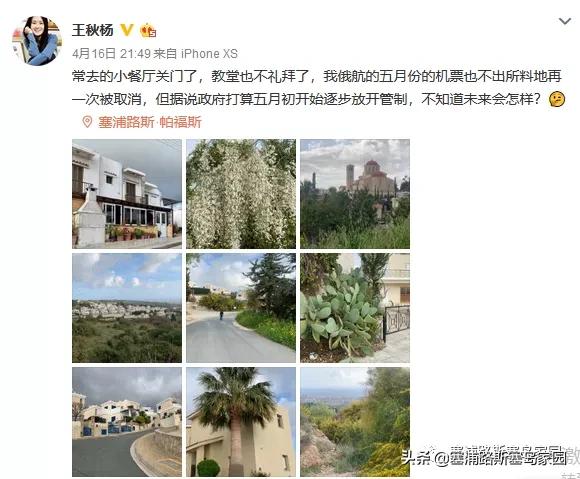 疫情宅日记,关于疫情宅在家里的日记