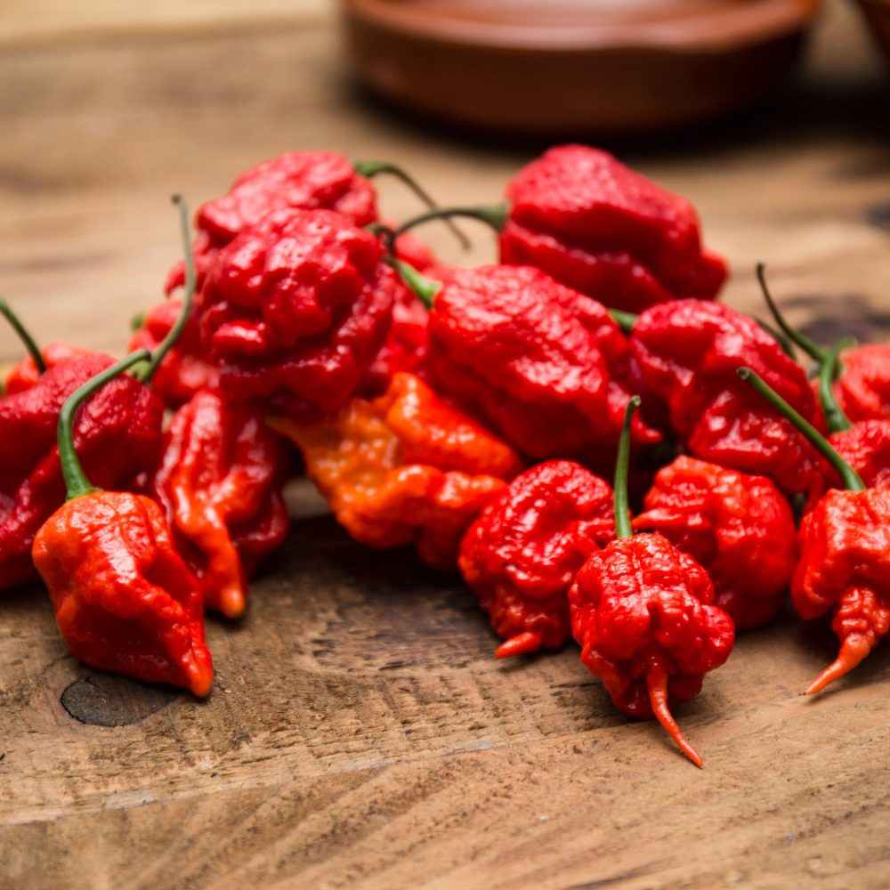 能致幻的都是有毒的吗,现在市面上还有致幻的东西吗