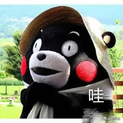 新冠疫苗接种预约在哪里预约啊,新冠疫苗接种预约的在哪里查询