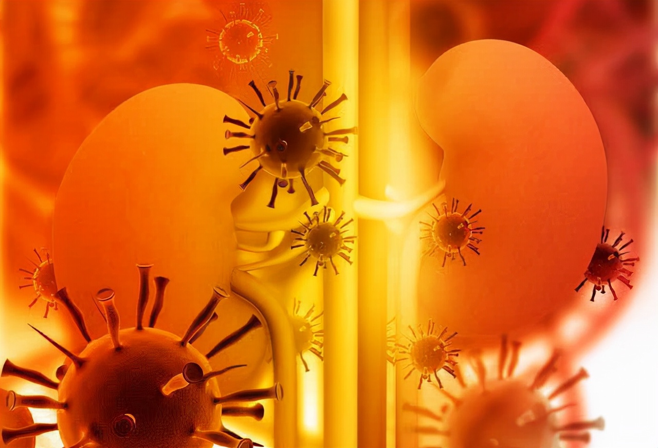 男子肾衰竭,男子长期乏累一查竟是尿毒症