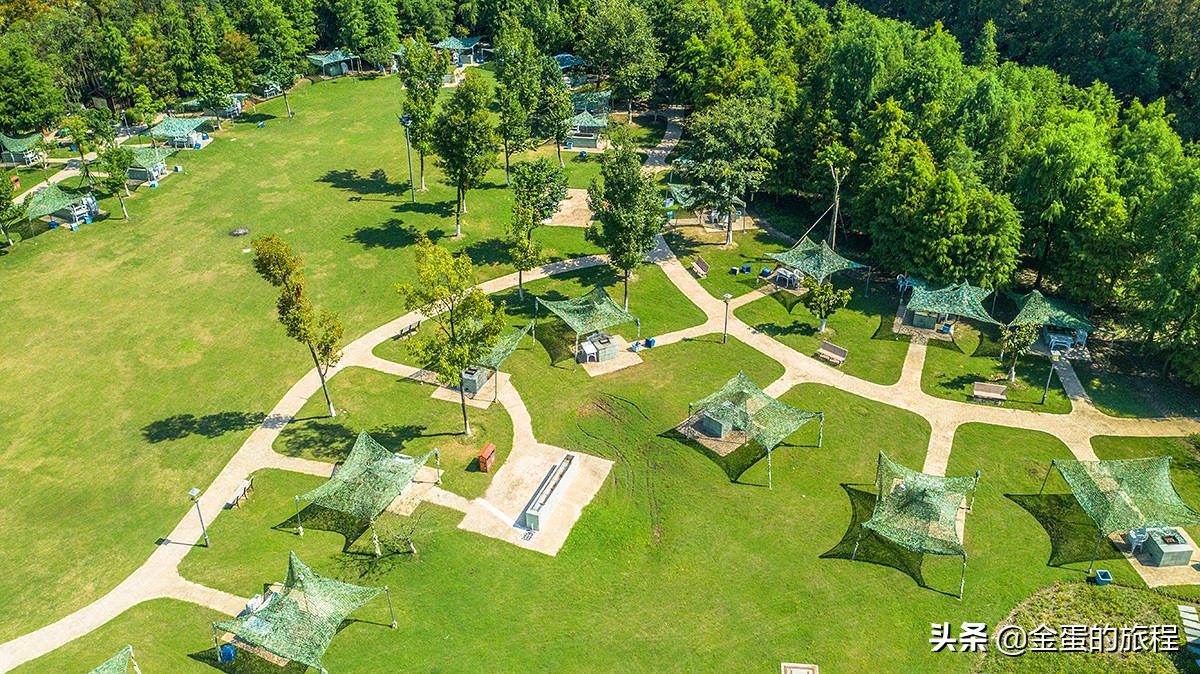 不出上海有哪些地方旅游,不出上海玩的景点排行榜