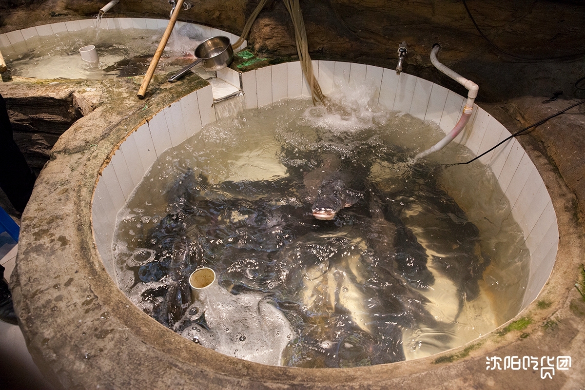 咱东北的骄傲，仅凭炖鱼在全国开了300家!