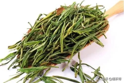 十大名茶最新排名白茶,哪里的雪芽茶叶最好