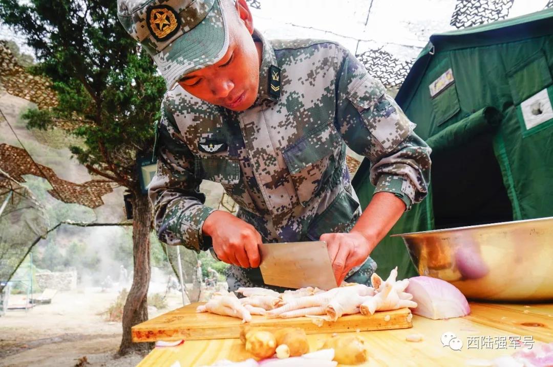 印度军人训练标准,印度士兵为何战斗意志如此薄弱