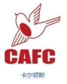 英格兰队徽壁纸,英格兰队徽图片蓝锁