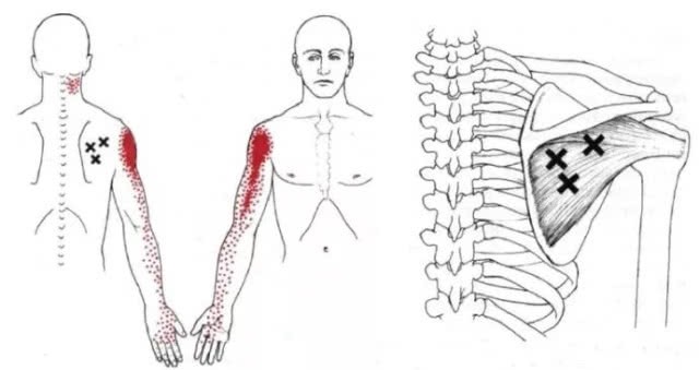 每日干货小分享,干货分享一周类的视频