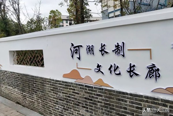 岩前河长“一心四治”促河长治