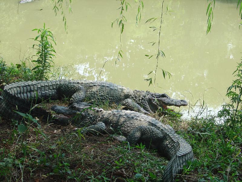 湖州三日游去哪里最好,湖州周边一日游好去处