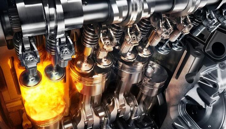 每天涨点知识z,每天涨点小知识看小视频