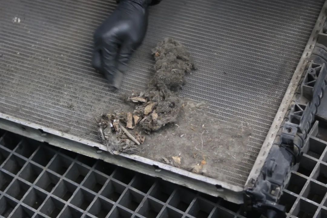 全车翻新大修老款奔驰ml350,怪兽修车翻新