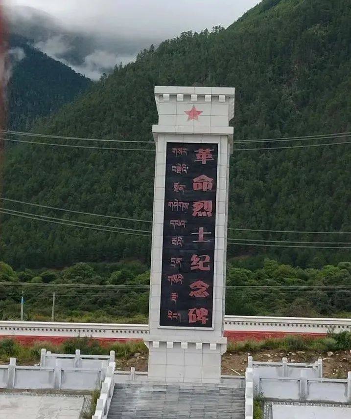 今天是烈士纪念日读后感作文,志愿军烈士祖国不会忘记